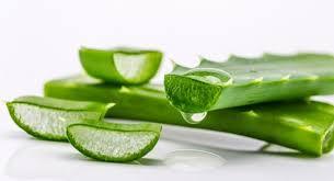 Aloe Vera, 10 beneficii nebănuite. Cum o îngrijești și în ce rețete o folosești