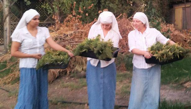 Soțul i-a furat tot ce avea. A rămas pe drumuri, fără niciun ban. S-a călugărit și a pus bazele unui imperiu de droguri: „Nimeni nu se pune cu măicuța Kate!”