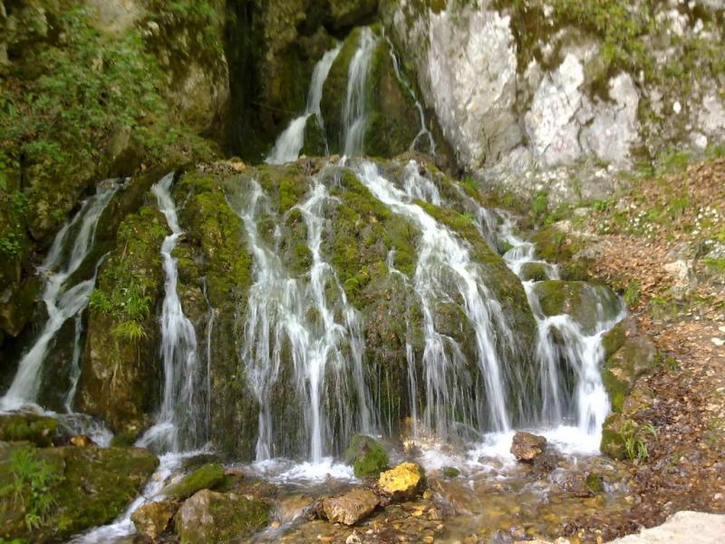 Top 13 cele mai frumoase parcuri naționale din România. Galerie Foto