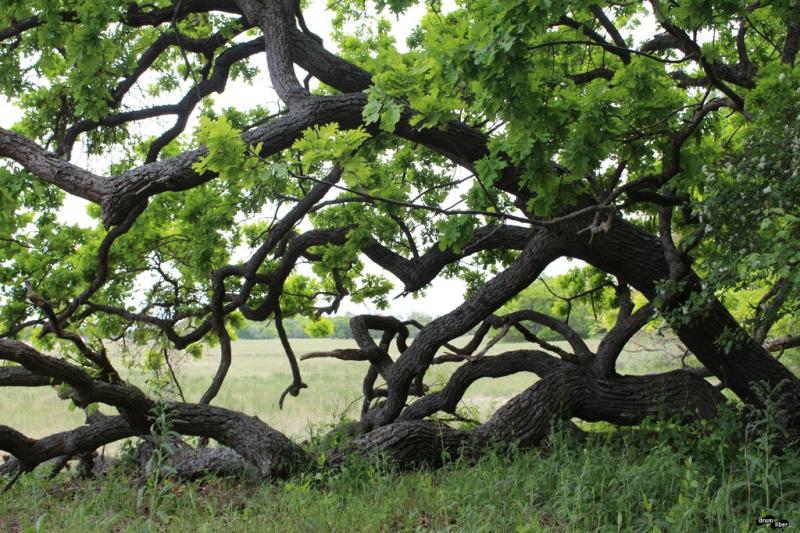 Top 13 cele mai frumoase parcuri naționale din România. Galerie Foto