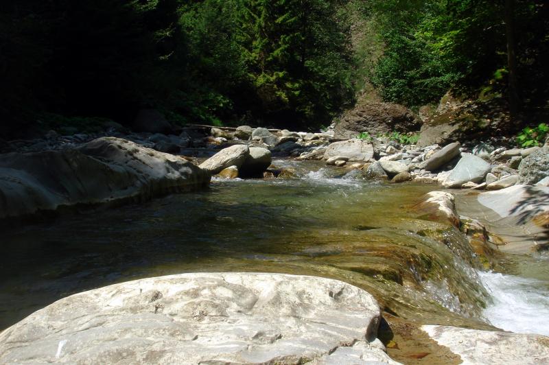 Top 13 cele mai frumoase parcuri naționale din România. Galerie Foto