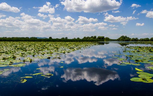 Top 13 cele mai frumoase parcuri naționale din România. Galerie Foto