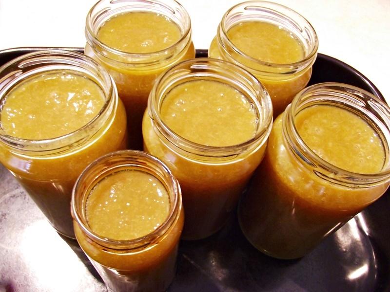 Bulion de corcodușe verzi, perfect pentru acrit preparatele