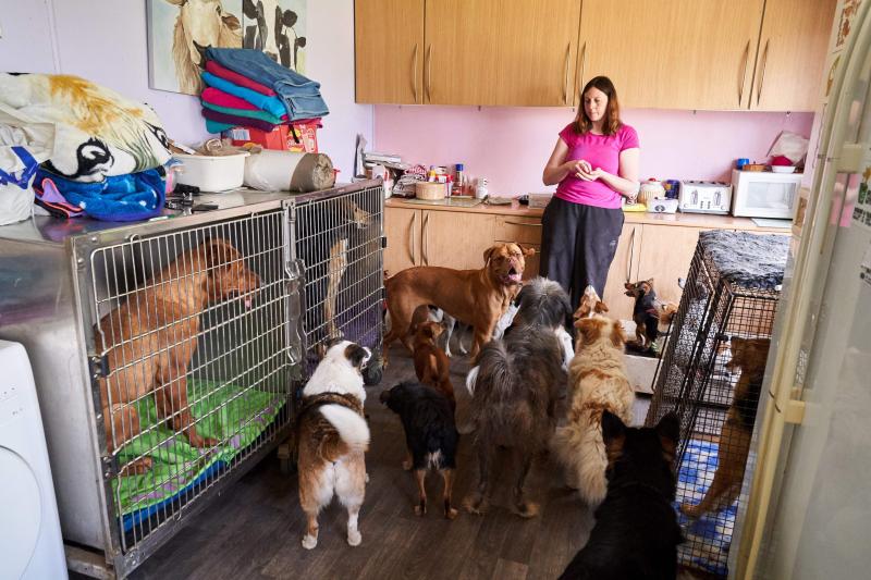 Cum arată casa unei femei care are 22 de câini: „Nu voi renunța la niciunul dintre prietenii mei!”