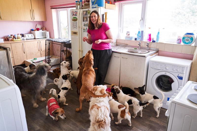 Cum arată casa unei femei care are 22 de câini: „Nu voi renunța la niciunul dintre prietenii mei!”