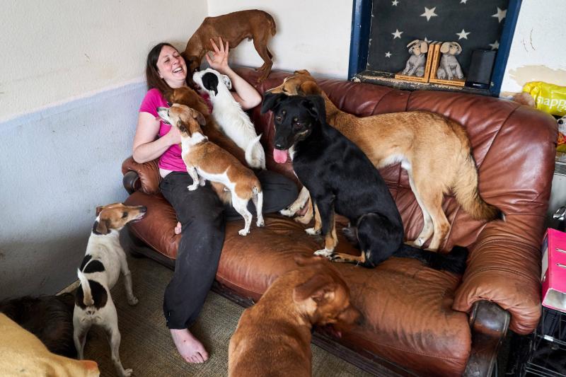 Cum arată casa unei femei care are 22 de câini: „Nu voi renunța la niciunul dintre prietenii mei!”