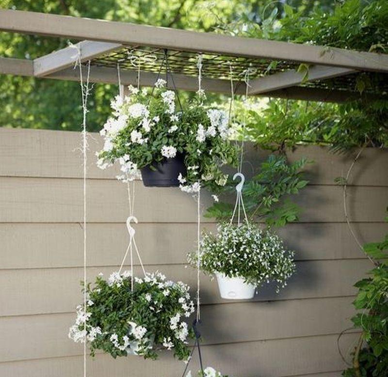 Amenajarea grădinii de vară. Cum să amenajezi grădina cu flori, ieftin și rapid