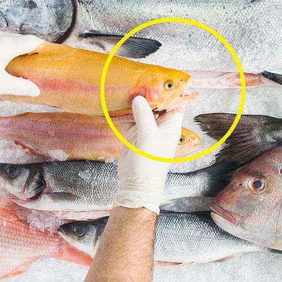 Alertă în România! Cum îți dai seama că peștele e stricat! Inspectorii au retras tone de produse