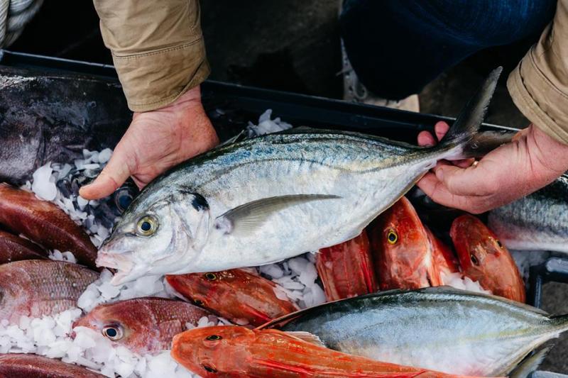 Alertă în România! Cum îți dai seama că peștele e stricat! Inspectorii au retras tone de produse