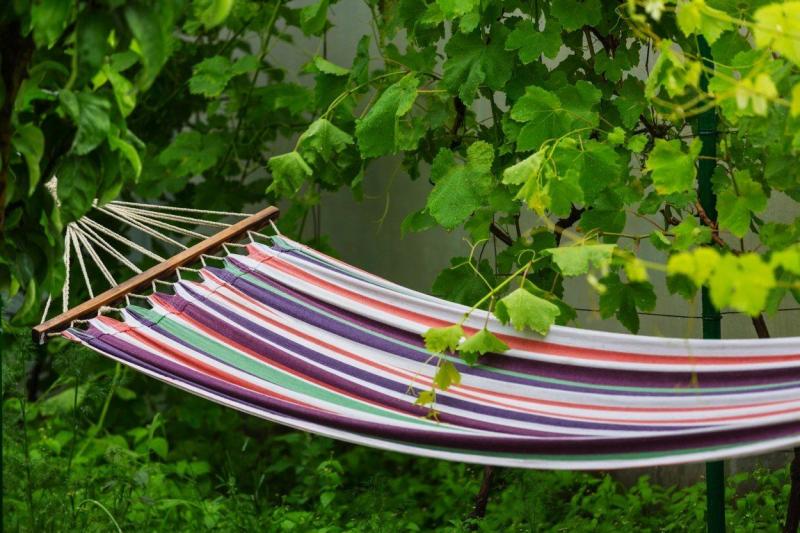 Amenajarea grădinii de vară: Cum alegi hamacul potrivit pentru relaxare totală
