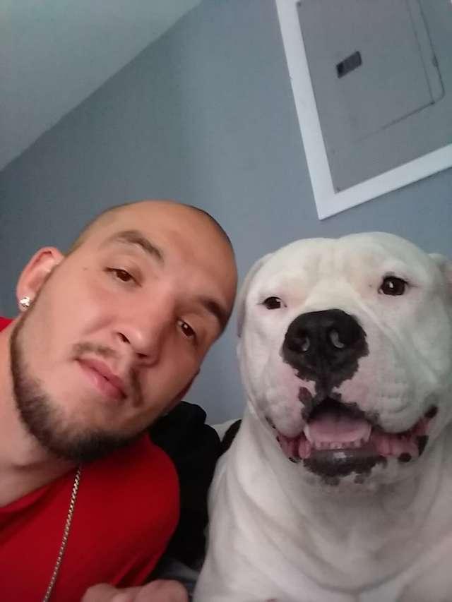 Un bărbat și-a pus mașina la vânzare ca să facă rost de bani pentru a-și salva câinele: ”L-am simţit ca şi cum încerca să-mi spună: ’Ajuta-mă!’”