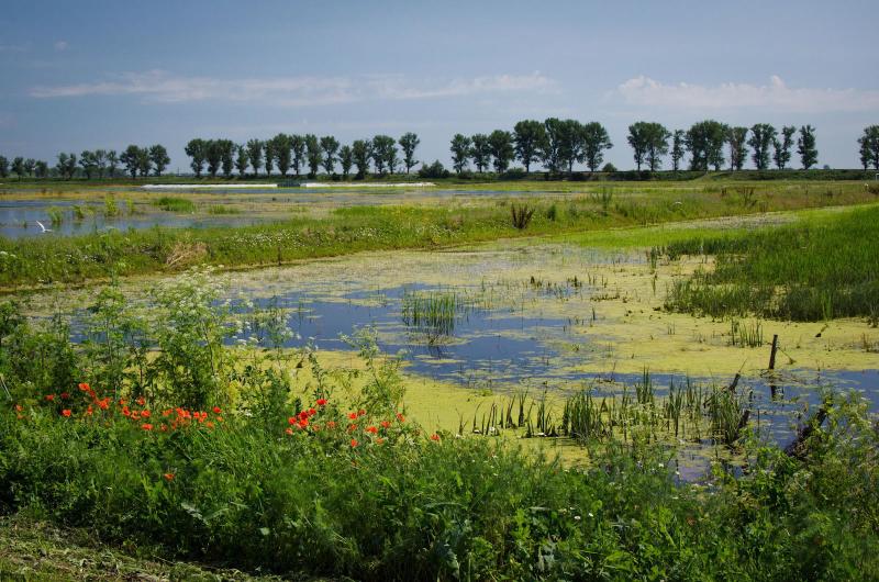 Idei de vacanță la munte, în România. 7 locuri frumoase de vizitat, în 2019