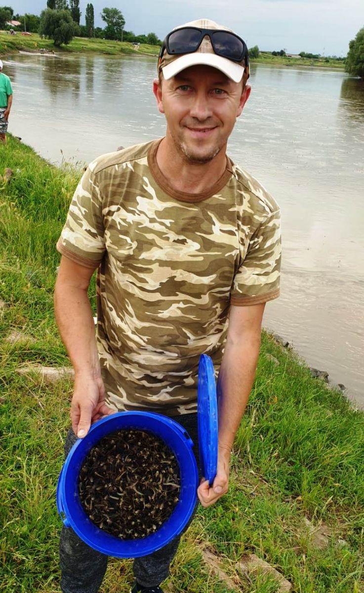 Fenomen uluitor, în a doua zi de Rusalii. Malul Mureșului a fost invadat: „A început aseară și va dura două zile” - Foto