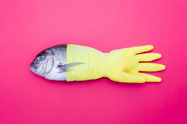 Imagini cu anomalii pe care le-ar putea dezvolta peştii afectaţi de poluarea oceanelor | GALERIE FOTO