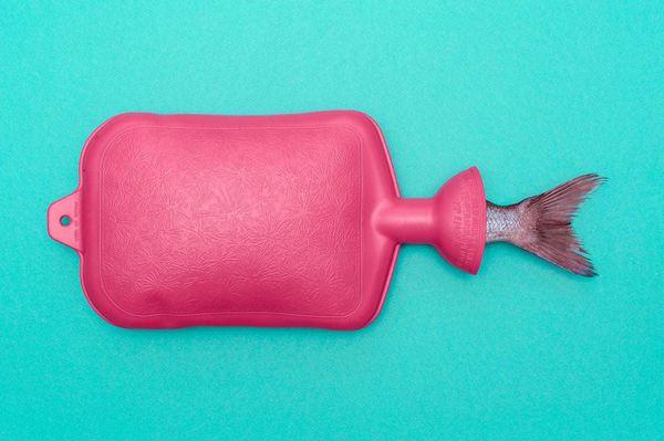 Imagini cu anomalii pe care le-ar putea dezvolta peştii afectaţi de poluarea oceanelor | GALERIE FOTO