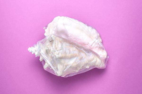 Imagini cu anomalii pe care le-ar putea dezvolta peştii afectaţi de poluarea oceanelor | GALERIE FOTO