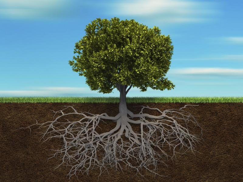 Un nou test face furori pe internet! Ce vezi prima dată în imagine indică un detaliu important despre personalitatea ta