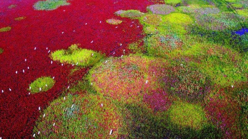 Care sunt nominalizările pentru lista UNESCO 2019