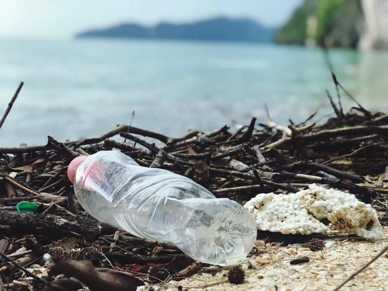 Alarmant!  &Icirc;nghițim 74.000 de microparticule de plastic &icirc;n fiecare an!