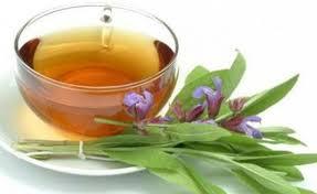 5 plante medicinale pe care să le ai în casă. Le poți cultiva în ghiveci, pe balcon