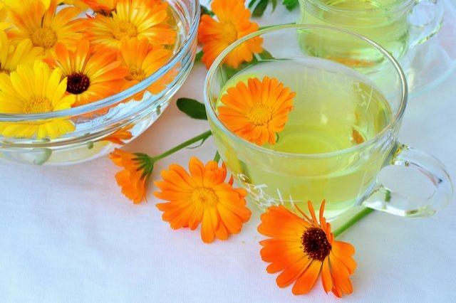 5 plante medicinale pe care să le ai în casă. Le poți cultiva în ghiveci, pe balcon