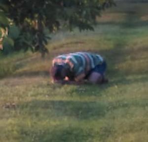 Gabriel tocmai intrase la liceu și a dispărut în apa unui lac. Tatăl lui, în genunchi, implora o minune: "Nu-mi lua, Doamne, băiatul"