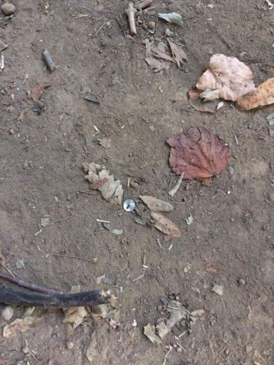 Copii goniți de la joacă, cu piuneze! O mamă din Botoșani este revoltată! „Vi se pare normal?” - Foto