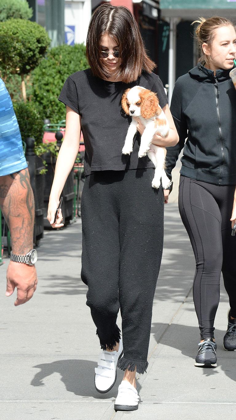 Ce câini au vedetele? De la Messi, la Regina Angliei