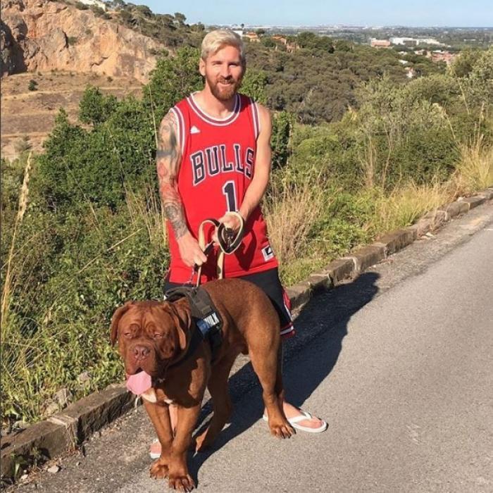 Ce câini au vedetele? De la Messi, la Regina Angliei