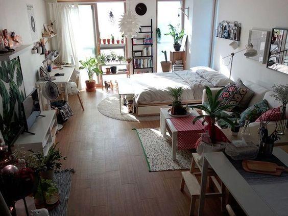 6 lucruri pe care să le știi pentru amenajarea unei garsoniere: Sfaturi și soluții