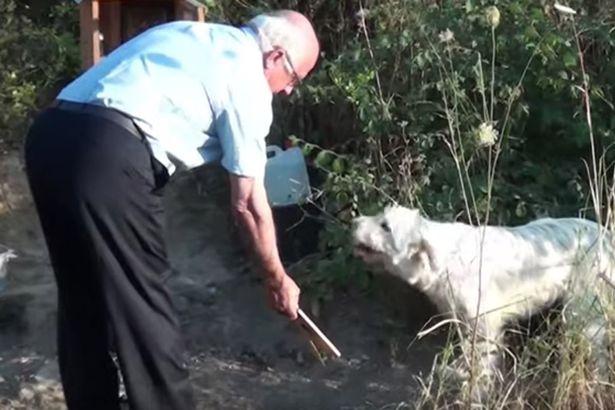 A păzit locul morții timp de 18 luni în așteptarea celui pe care l-a iubit și a avut grijă de el!