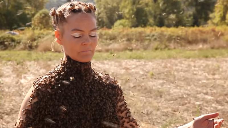 VIDEO! Cea mai curajoasă femeie din lume dansează cu 10.000 de albine pe ea. Niciuna nu o înțeapă