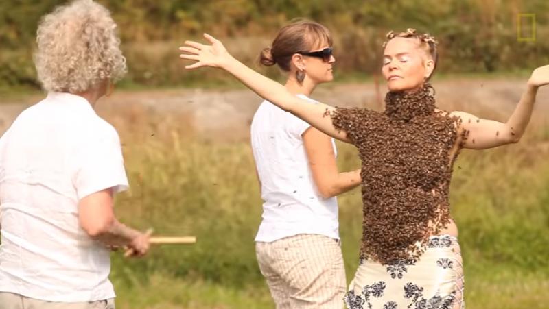 VIDEO! Cea mai curajoasă femeie din lume dansează cu 10.000 de albine pe ea. Niciuna nu o înțeapă