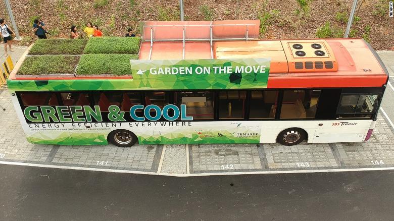 Studiu: Acoperișurile verzi instalate pe autobuze pot scădea temperatura din interior