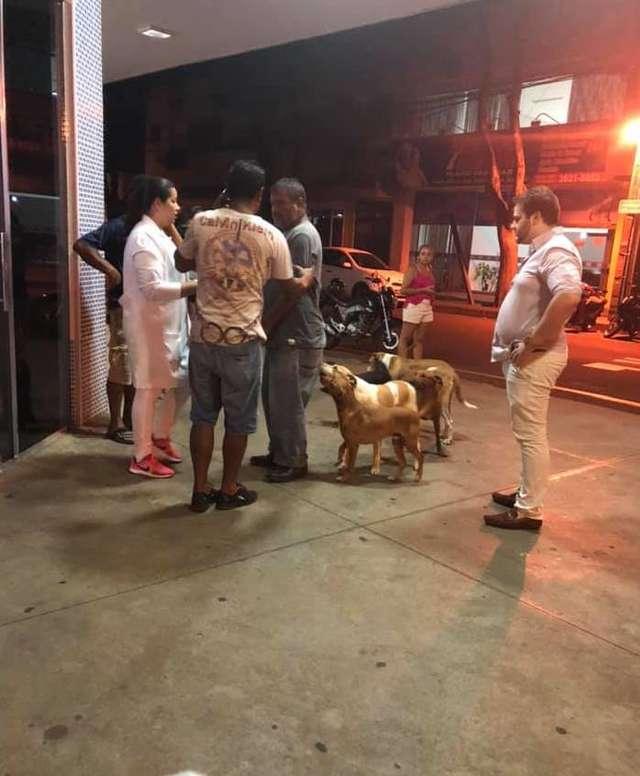 Mai mulți câini au stat nemișcați ore în șir în fața unui spital așteptând un bărbat fără adăpost care avea grijă de ei