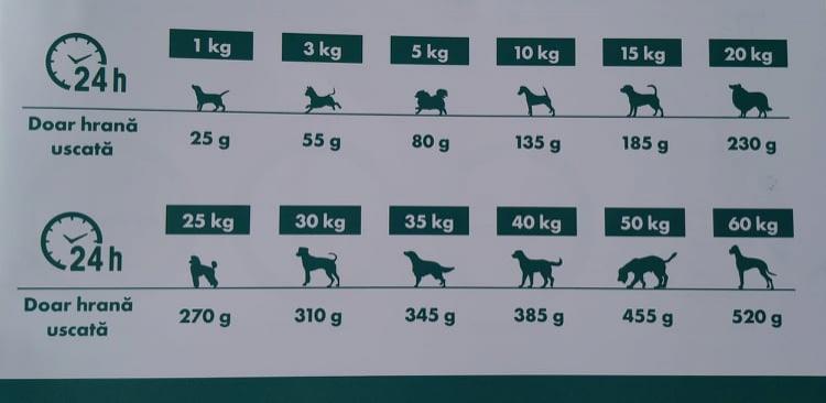 Cât trebuie să mănânce câinele tău, în funcție de greutatea sa