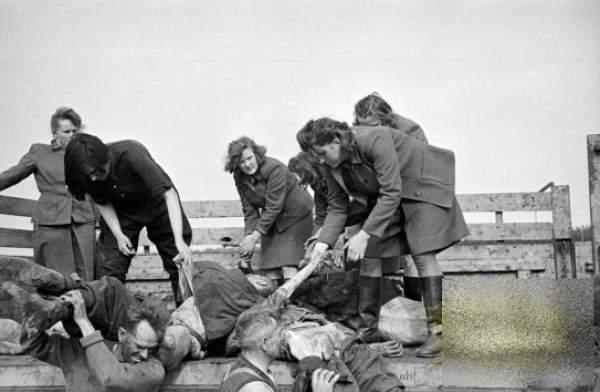 Omorau și schingiuiau râzând..."Băieții puternici în zbor către iubitele lor". Cruzimea a devorat vieți! - (Foto)