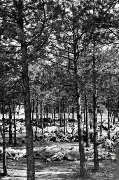 Omorau și schingiuiau r&acirc;z&acirc;nd..."Băieții puternici &icirc;n zbor către iubitele lor". Cruzimea a devorat vieți! - (Foto)