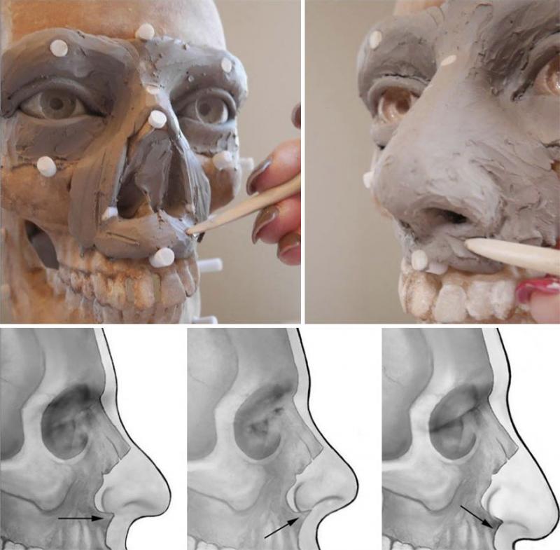 Artist criminalist FBI reconstuie chipuri umane din rămășițe osoase! Ce se ascunde în spatele rezolvării unor cazuri de criminalitate!