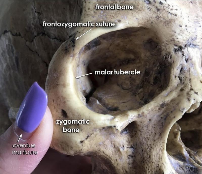 Artist criminalist FBI reconstuie chipuri umane din rămășițe osoase! Ce se ascunde în spatele rezolvării unor cazuri de criminalitate!