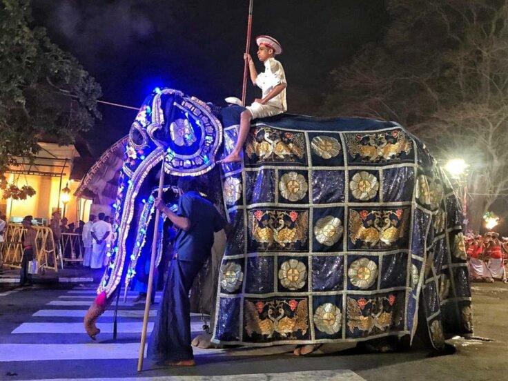 FOTO - Fotografii devastatoare au apărut pe internet arătând un elefant într-o stare deplorabilă obligat să participe la Festivalul Perahera din Sri Lanka din acest an