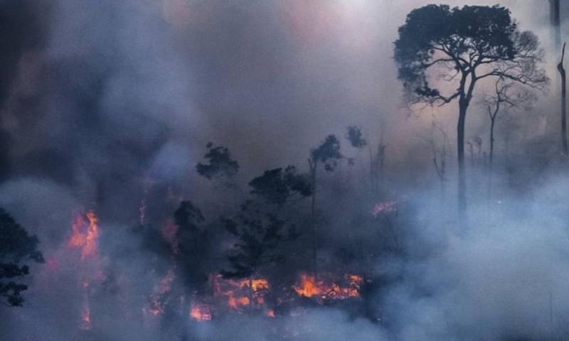 Cea mai mare pădure a planetei arde de peste 16 zile. Fumul provocat de incendii a lăsat Sao Paulo în beznă VIDEO