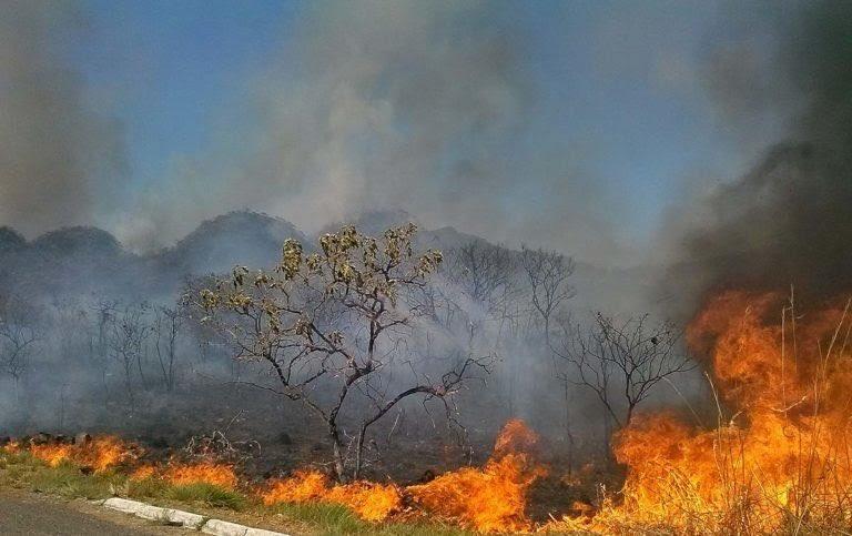 Cea mai mare pădure a planetei arde de peste 16 zile. Fumul provocat de incendii a lăsat Sao Paulo în beznă VIDEO