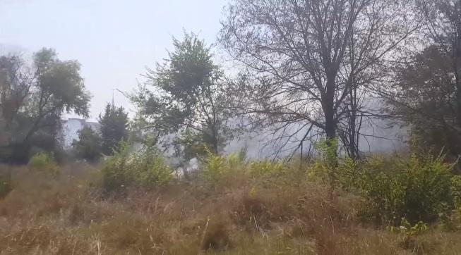 Incendiu puternic în parcul IOR din Capitală! Pompierii au intervenit cu patru autospeciale (FOTO)