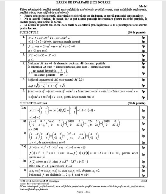 Subiecte BAC Toamnă 2019 Matematică: ce pică în funcție de profil