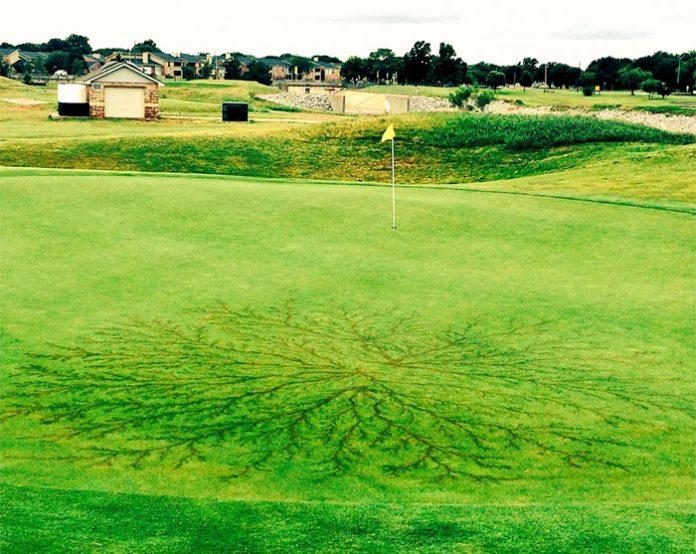 Imagini cu puternic impact emoțional! Așa arată trupurile lovite de fulgere!