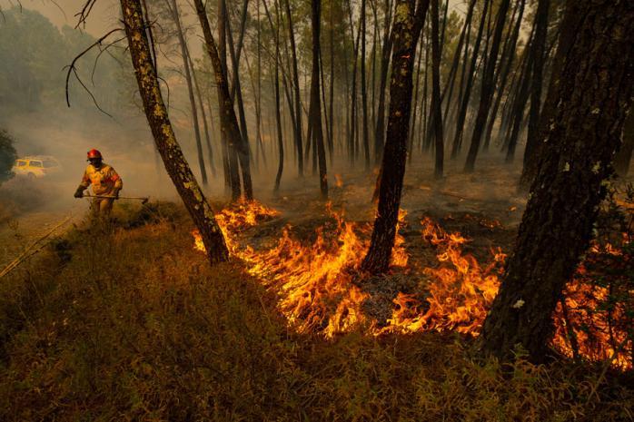„Casa noastră arde”. Incendiile din Amazon vor afecta lupta împotriva schimbărilor climatice