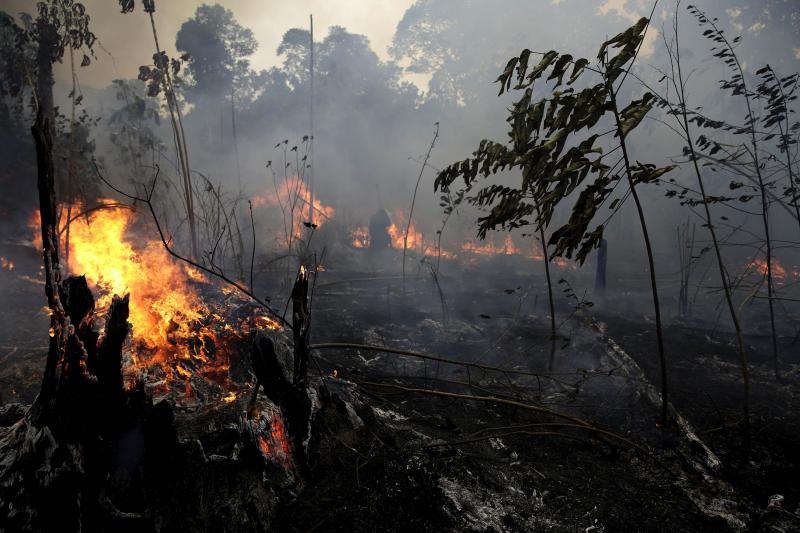 Planeta rămâne fără oxigen! Scandalul momentului: Brazilia refuză ajutorul de 30 de milioane de dolari, pentru incendiile din Amazonia! Motivul e șocant