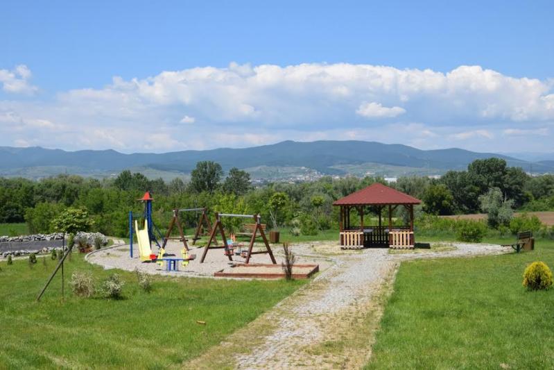 Dumnezeule, ce minune! Un sat din România nu are nicio cârciumă! ”Noi nu punem Limba pe șpriț, că ne bat nevestele!”