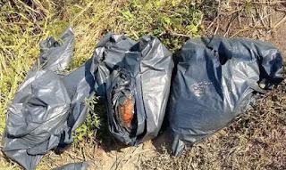 Peste 75 de saci cu rămășițe umane, găsiți în gropile din pământ! Polițiștii din Zapopan s-au îngrozit: „Nu știm câte cadavre...”